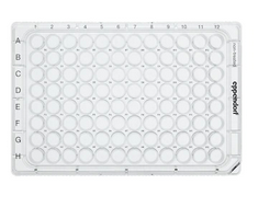 德國艾本德(Eppendorf)Cell Culture Plates,96-Well,無菌無熱原,無RNase和DNase,無人類和細(xì)菌DNA,無細(xì)胞毒素,未處理,0.2mL,80塊,獨立包裝