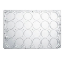 德國艾本德(Eppendorf)Cell Culture Plates,24-Well,無菌無熱原,無RNase和DNase,無人類和細(xì)菌DNA,無細(xì)胞毒素,未處理,1mL,60塊,獨立包裝